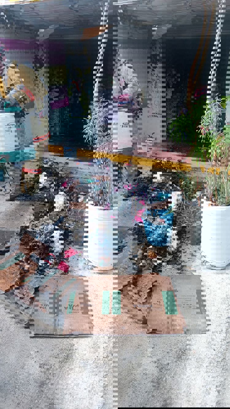 imagen-cuerpo imagen-cuerpo