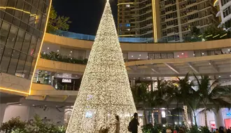 Tradición binacional: Laredo y Monterrey se unen para el encendido del pino 2025