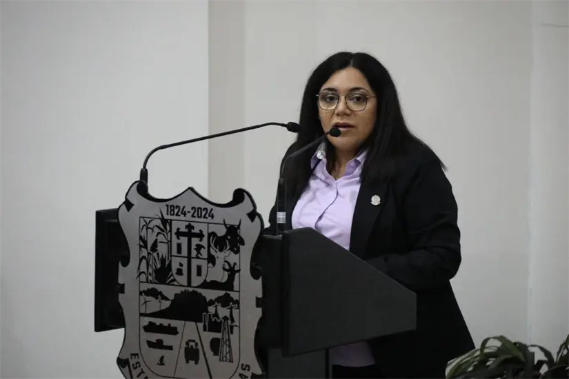 imagen recuadro diputada Lucero de Deosdady Martínez López, presidenta de la Comisión de igualdad de Género y Diversidad | Foto: FB