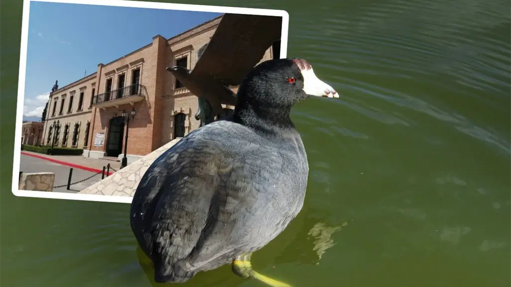 MUSAVE en Saltillo celebrará su 32 aniversario, descubre las actividades únicas que prepara