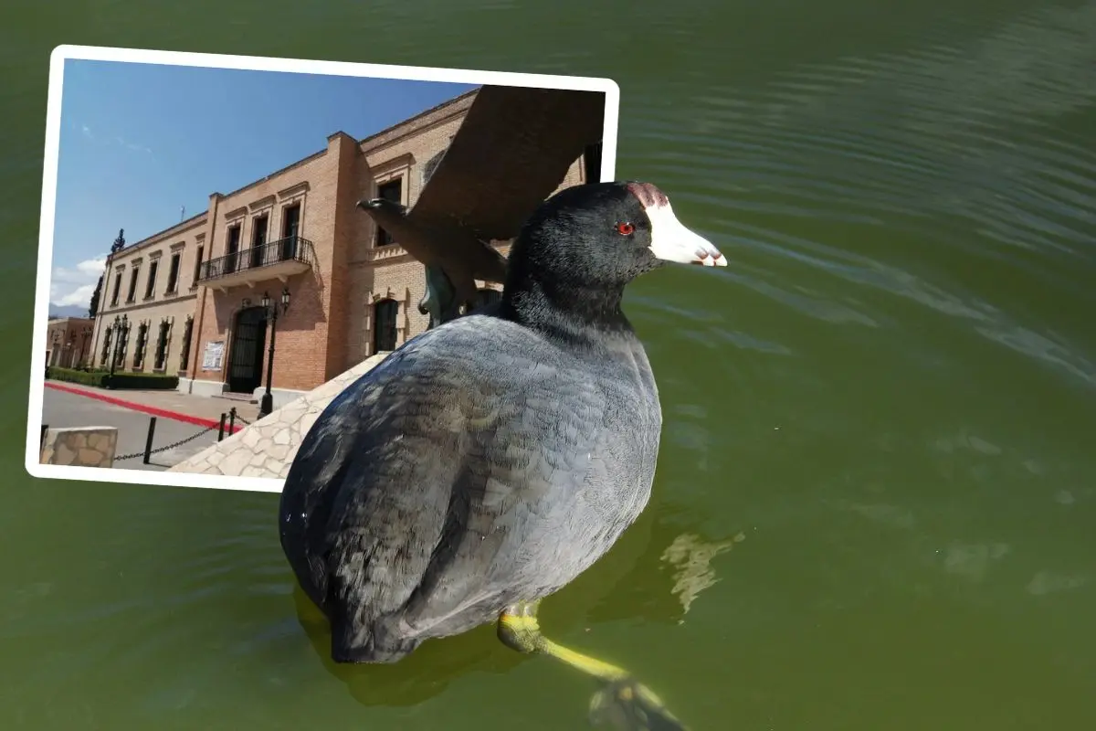 MUSAVE propane actividades para su aniversario 32 años / Foto: MUSAVE | Canva