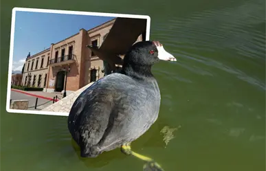 MUSAVE en Saltillo celebrará su 32 aniversario, descubre las actividades únicas que prepara