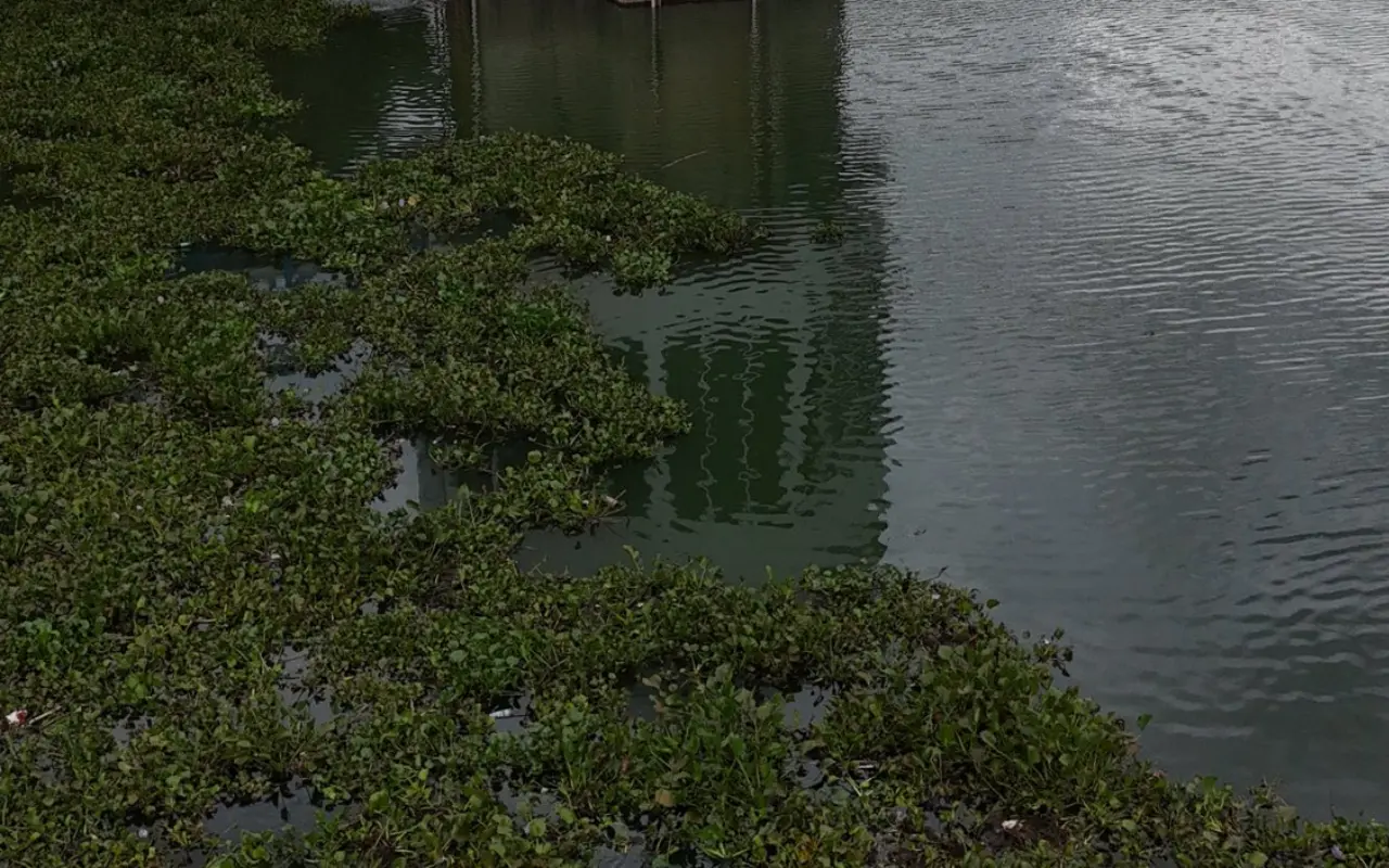 Presa de Valle de Bravo, junio de 2024 - octubre de 2025. Foto: X/ @ernesto_mendez (Canva)