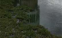 Presa de Valle de Bravo vuelve a aportar agua a Edomex y CDMX tras recuperación del Cutzamala Presa de Valle de Bravo vuelve a aportar agua a Edomex y CDMX tras recuperación del Cutzamala