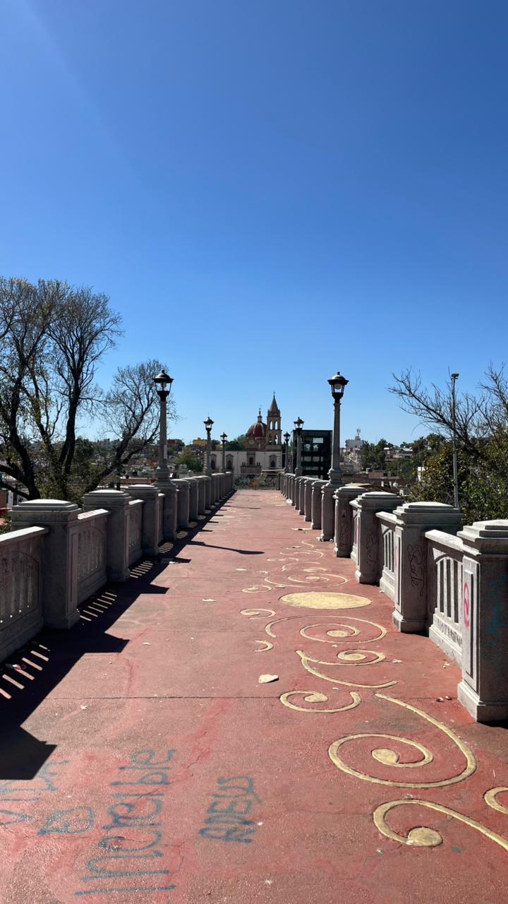 imagen-cuerpo imagen-cuerpo