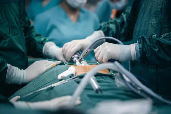 Yucatán se prepara para su primer trasplante de corazón, un paso clave en la medicina del sureste Yucatán se prepara para su primer trasplante de corazón, un paso clave en la medicina del sureste