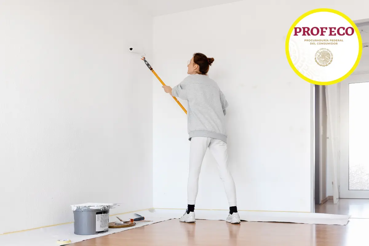 ¿Vas a pintar tu casa? Estas marcas de pintura blanca no las recomienda Profeco. Foto: Canva|Profeco