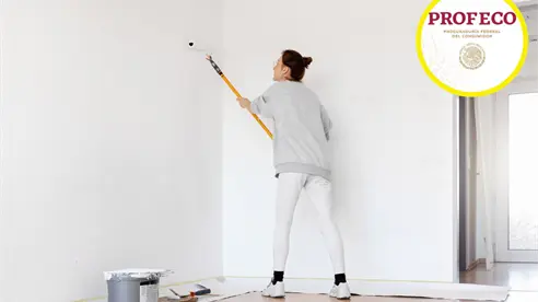 ¿Vas a pintar tu casa? Estas marcas de pintura blanca no las recomienda Profeco ¿Vas a pintar tu casa? Estas marcas de pintura blanca no las recomienda Profeco