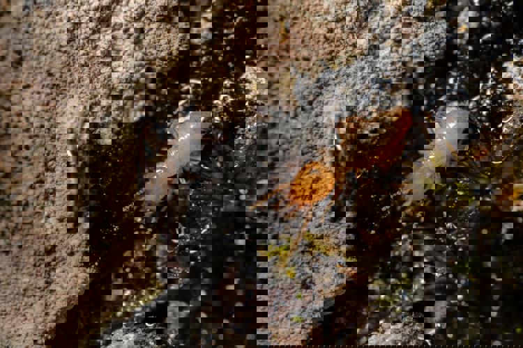 imagen-cuerpo imagen-cuerpo