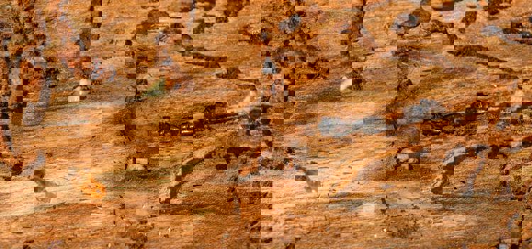 imagen-cuerpo imagen-cuerpo