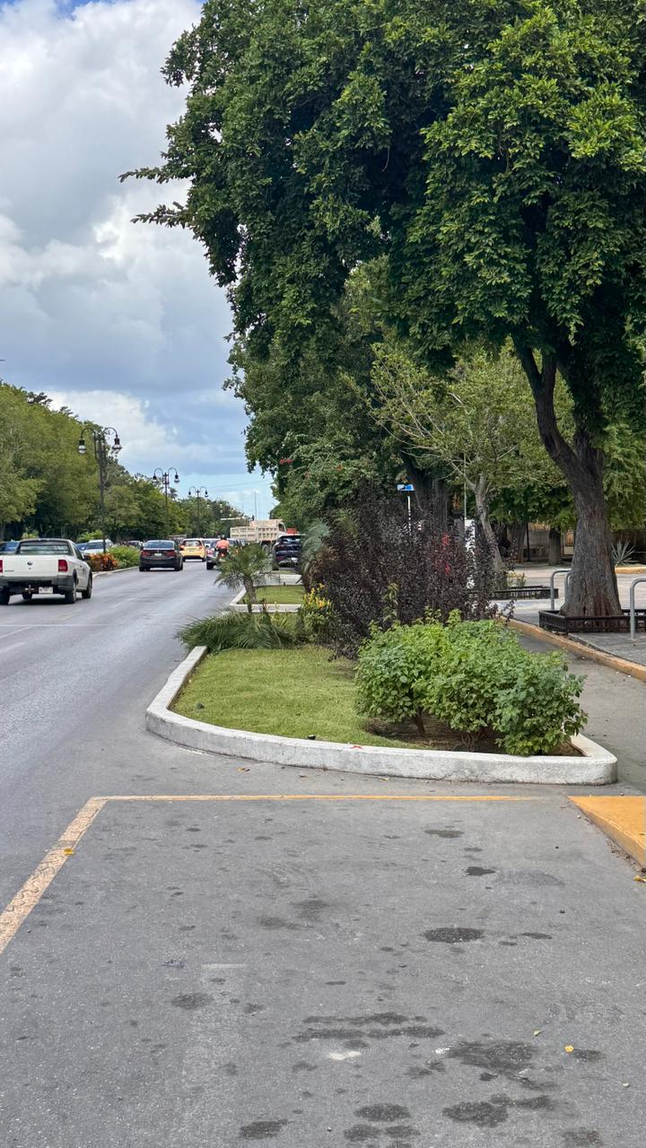 imagen-cuerpo imagen-cuerpo