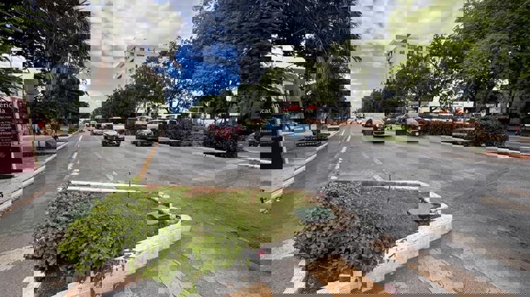 imagen-cuerpo imagen-cuerpo