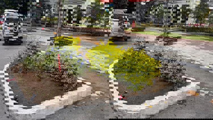 imagen-cuerpo imagen-cuerpo