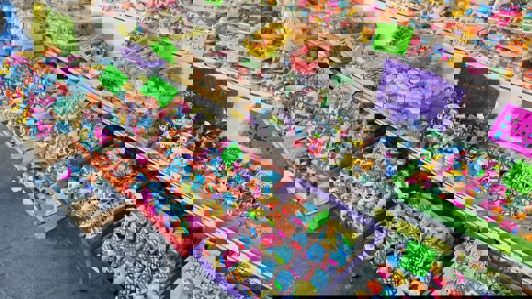 imagen-cuerpo imagen-cuerpo