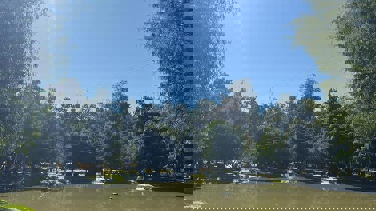 imagen-cuerpo imagen-cuerpo