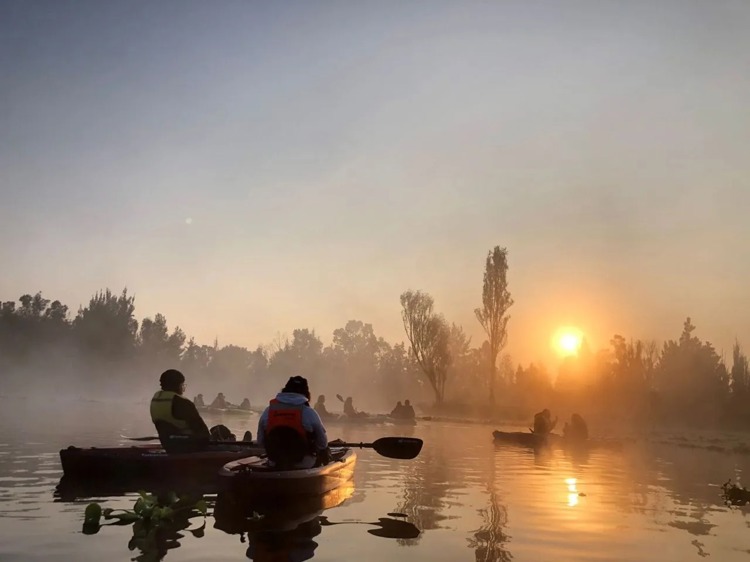 imagen-cuerpo imagen-cuerpo