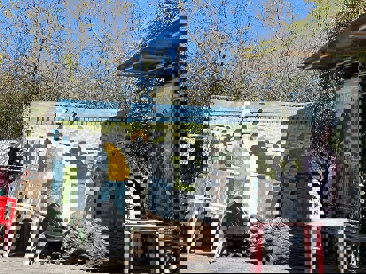 imagen-cuerpo imagen-cuerpo