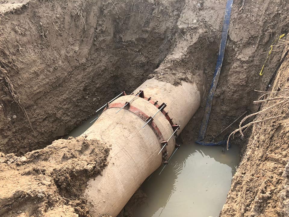 imagen-cuerpo imagen-cuerpo