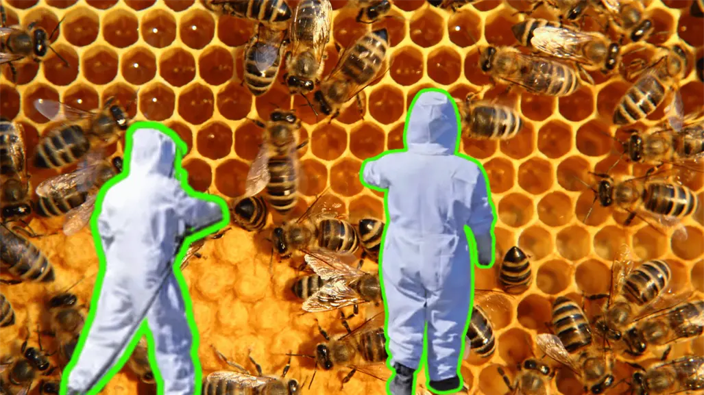 ¡Dulce accidente! PC de Santiago limpia carretera Nacional tras caída de barril de miel y abejas