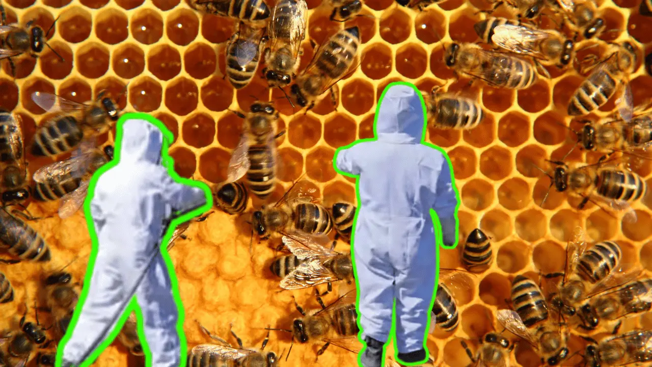 Este tipo de incidentes, aunque inusuales, pueden representar riesgos importantes debido a la posible agresividad de los insectos. Foto: Canva.