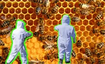 ¡Dulce accidente! PC de Santiago limpia carretera Nacional tras caída de barril de miel y abejas ¡Dulce accidente! PC de Santiago limpia carretera Nacional tras caída de barril de miel y abejas