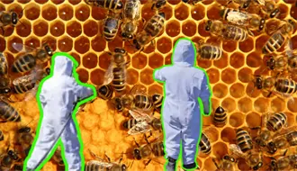 ¡Dulce accidente! PC de Santiago limpia carretera Nacional tras caída de barril de miel y abejas