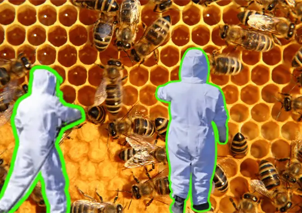 ¡Dulce accidente! PC de Santiago limpia carretera Nacional tras caída de barril de miel y abejas