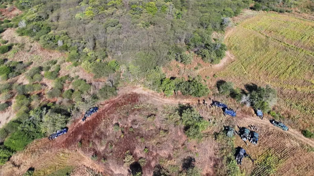3 cabeños entre los siete abatidos en operativo en Agua Blanca, Sinaloa