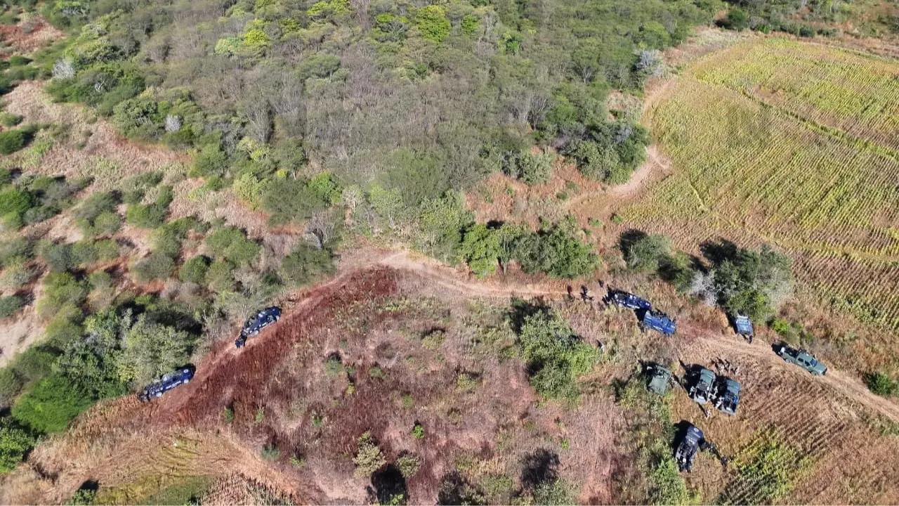 Foto: Los Noticieristas.