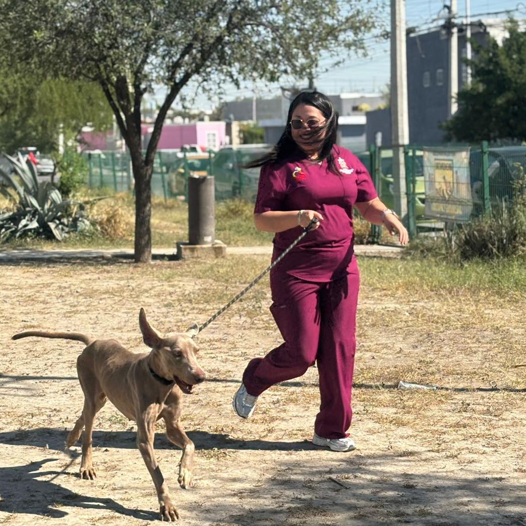 imagen-cuerpo imagen-cuerpo