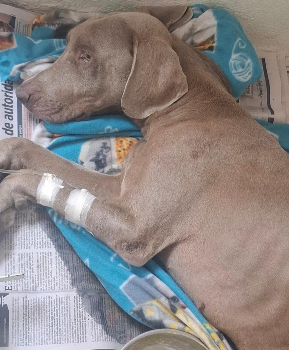 imagen-cuerpo imagen-cuerpo