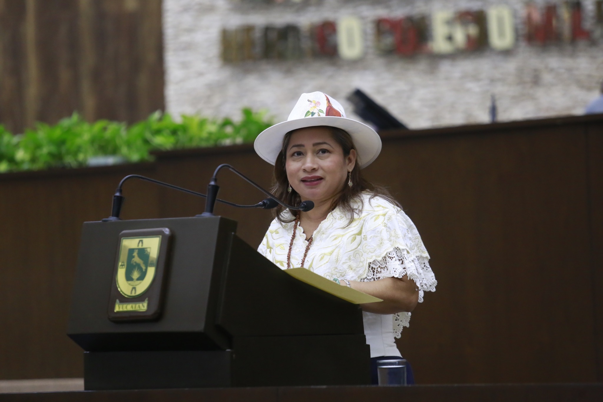 imagen-cuerpo imagen-cuerpo