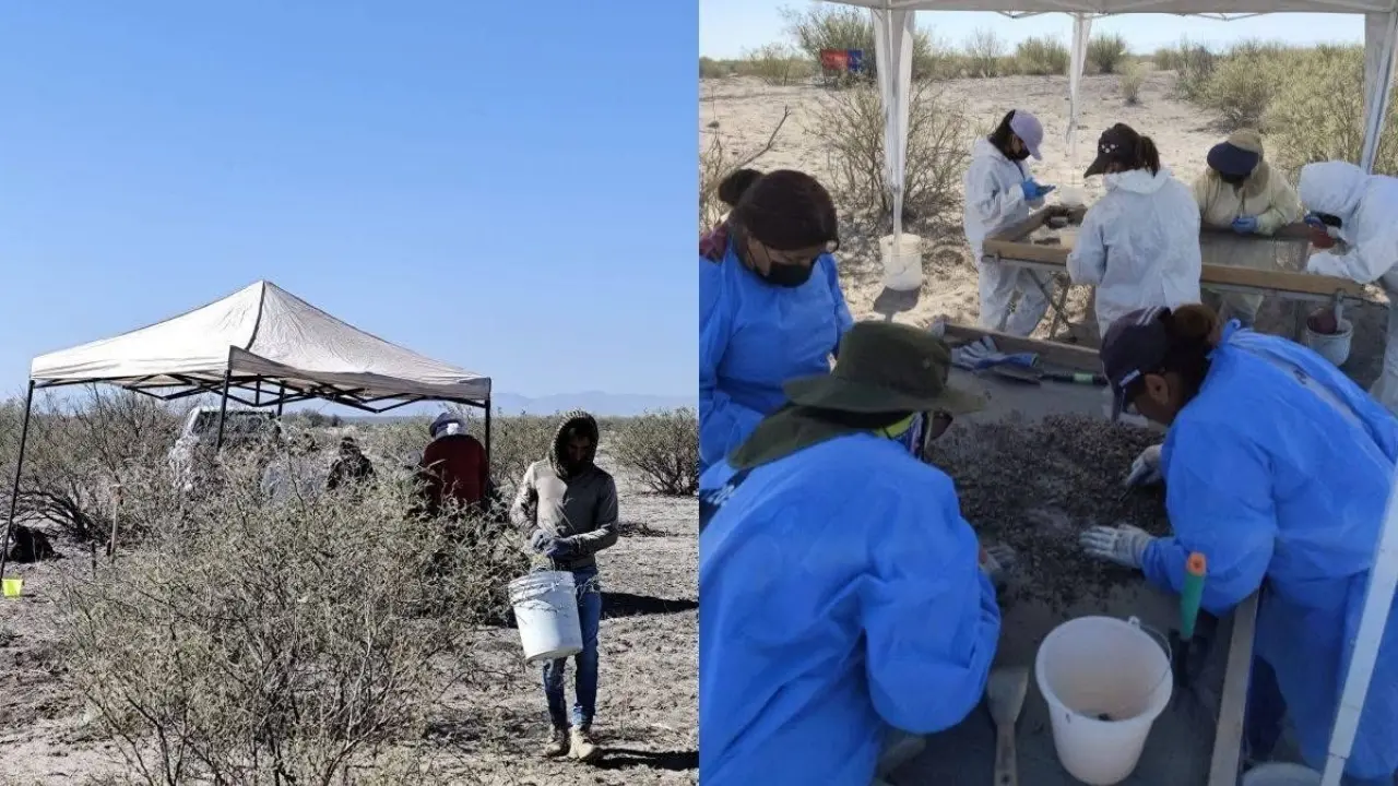 Uno de los principales problemas es la falta de intercambio de bases de datos genéticas entre estados./Foto: Cortesía