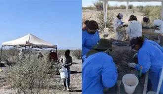 Buscadores en Coahuila localizan nueva fosa clandestina en Patrocinio