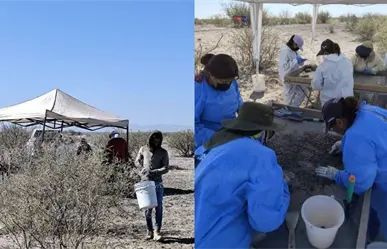 Buscadores en Coahuila localizan nueva fosa clandestina en Patrocinio