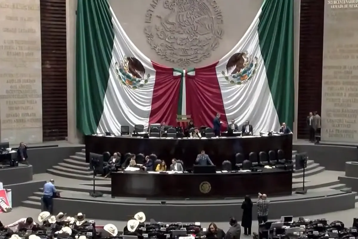 Sesión de la Cámara de Diputados Foto: YouTube Cámara de Diputados