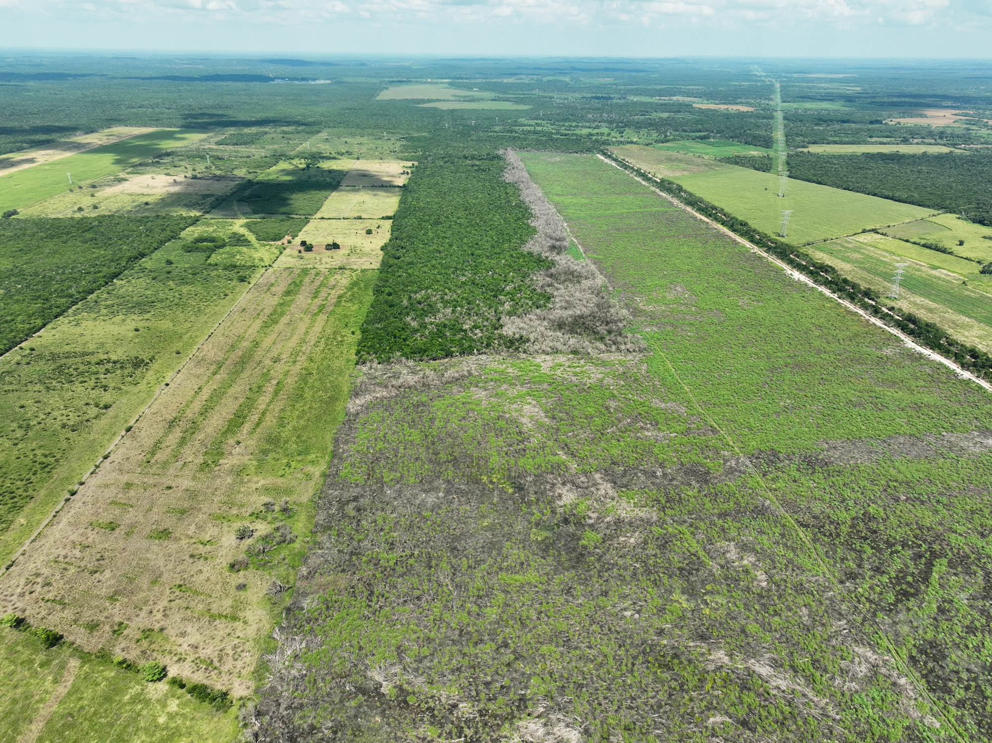 imagen-cuerpo imagen-cuerpo