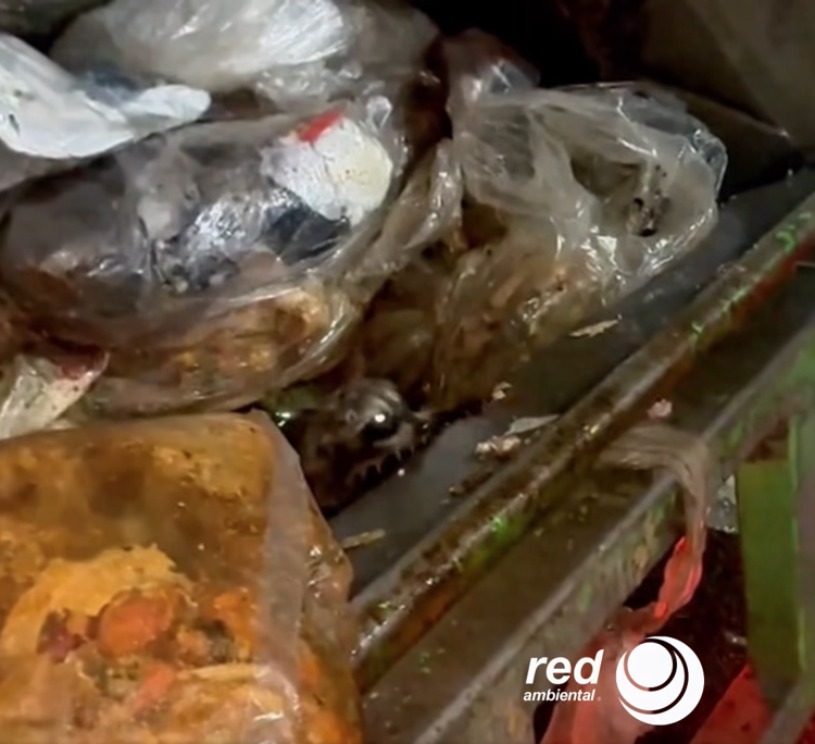 imagen-cuerpo imagen-cuerpo