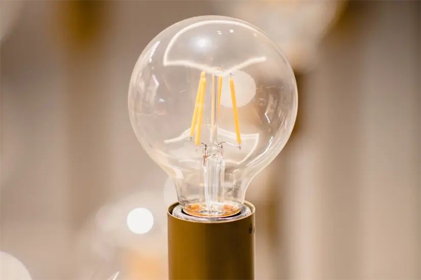 imagen recuadro Se busca garantizar un acceso equitativo | Foto: Perla Herrera