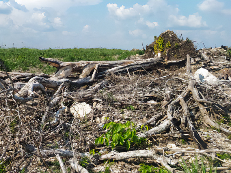 imagen-cuerpo imagen-cuerpo