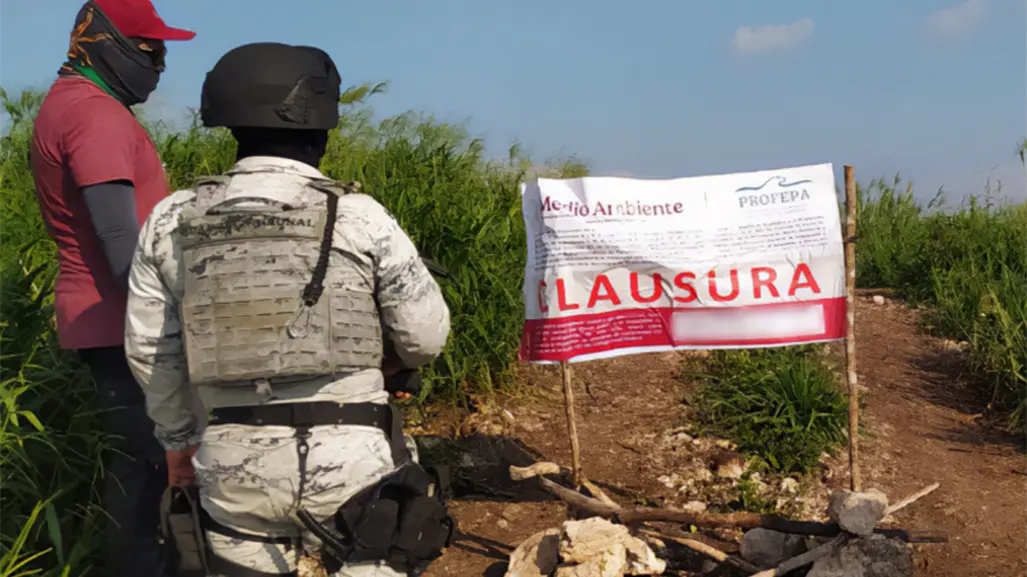 Profepa detiene construcciones ilegales en Campeche; tres en la zona protegida Laguna de Términos