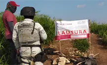 Profepa detiene construcciones ilegales en Campeche; tres en la zona protegida Laguna de Términos Profepa detiene construcciones ilegales en Campeche; tres en la zona protegida Laguna de Términos