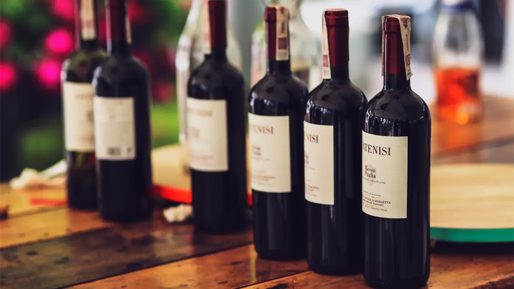 Coahvino Fest 2025 llega al Museo del Desierto: vino, arte y gastronomía en un solo evento