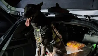 Decomisan en Piedras Negras 23 kilos de cristal; detienen a dos mujeres