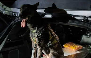 Decomisan en Piedras Negras 23 kilos de cristal; detienen a dos mujeres