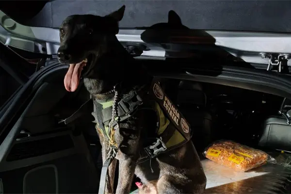 Decomisan en Piedras Negras 23 kilos de cristal; detienen a dos mujeres Decomisan en Piedras Negras 23 kilos de cristal; detienen a dos mujeres