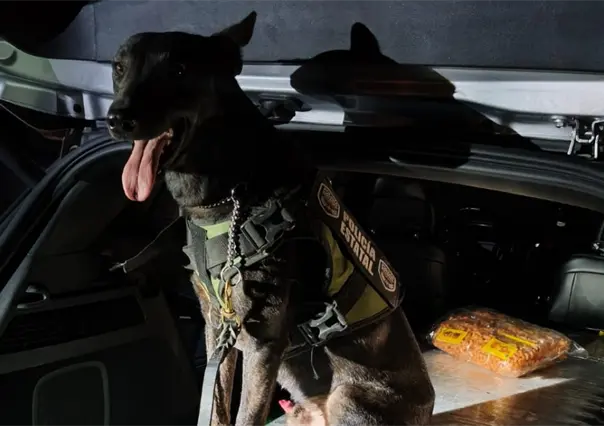 Decomisan en Piedras Negras 23 kilos de cristal; detienen a dos mujeres