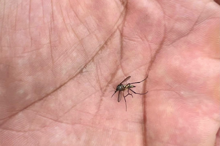 imagen-cuerpo imagen-cuerpo