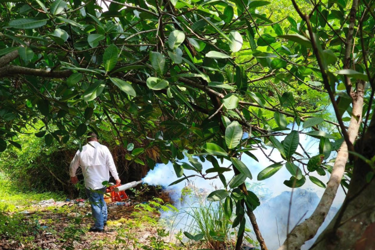 imagen-cuerpo imagen-cuerpo