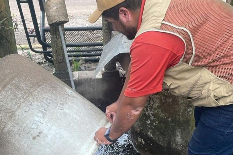 imagen-cuerpo imagen-cuerpo